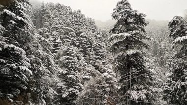 Himachal Snowfall: Heavy snowfall in Himachal Pradesh, 278 roadways closed