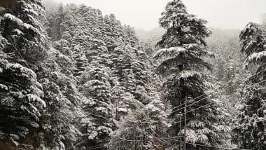 Himachal Snowfall: हिमाचल प्रदेश में भारी बर्फबारी, 278 सड़क मार्ग बंद