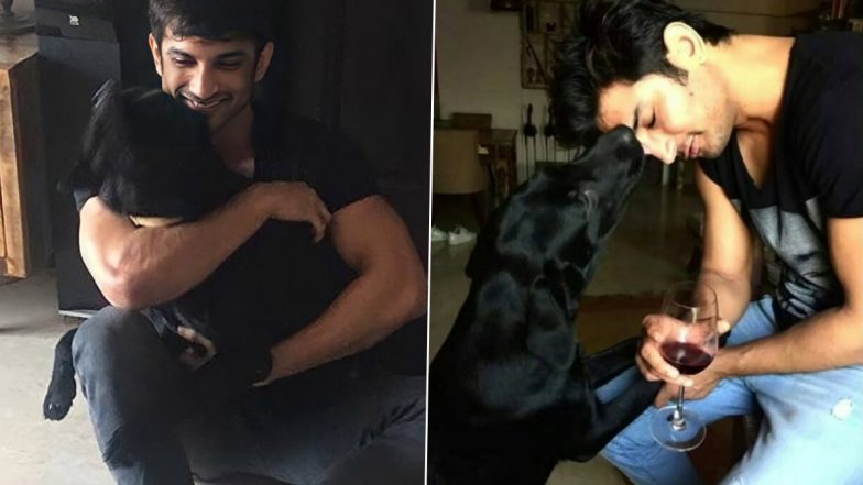 Sushant Singh Rajput के जन्मदिन से ठीक पहले उनके चेहेते पेट डॉग Fudge की हुई मौत, बहन Priyanka Singh शेयर की दुखद खबर