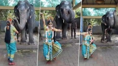 Viral Video: मंदिर के हाथी ने लड़की को नमस्कार करते हुए अपनी सूंड से आशीर्वाद दिया, देखें वीडियो