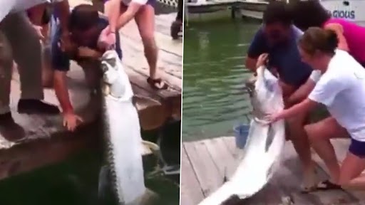 Viral Video: फिशिंग करते समय मछली चबा लिया शख्स का हाथ, उसके बाद जो हुआ...देखें वीडियो