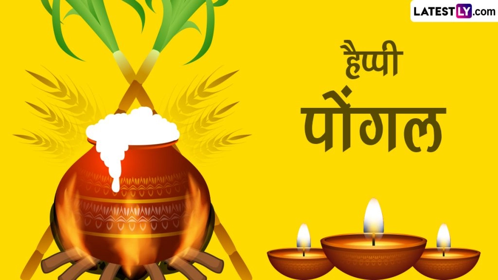 पोंगल पर ये मैसेजेस WhatsApp Stickers, HD Wallpapers और GIF Images के जरिए भेजकर दें बधाई