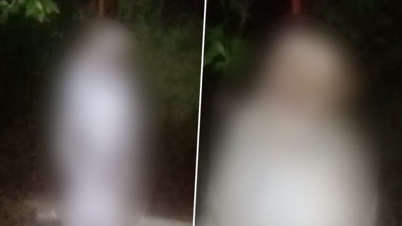 Monkey Hanged to Death: दिल्ली में बेजुबान के साथ क्रूरता, बंदर को फांसी के फंदे पर लटकाया, VIDEO वायरल