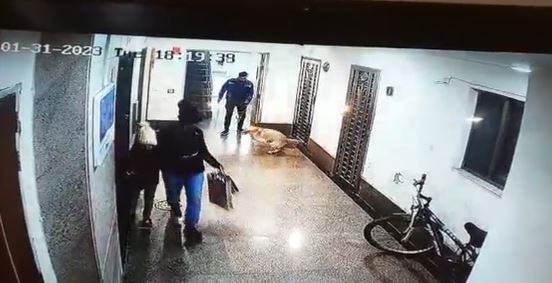 Gurugram Dog Attack Video: गुरुग्राम में पालतू कुत्ते के हमले में बाल-बाल बची 12 साल की बच्ची