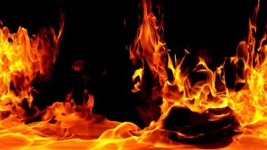 Andhra Pradesh: तिरुपति जिले में अज्ञात लोगों ने एक सॉफ्टवेयर इंजीनियर को जिंदा जलाया