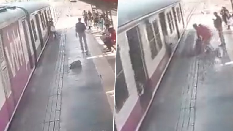 Mumbai: बोरीवली स्टेशन पर चलती ट्रेन में चढ़ने के दौरान फिसलकर गिरी महिला, RPF के जवानों ने बचाई जान- देखें VIDEO