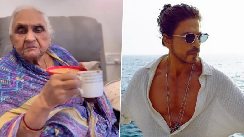 Shah Rukh Khan: वरिष्ठ गुजराती महिला ने शाहरुख खान को बताया अपना क्रश, किंग खान ने दिया दिल जीतने वाला रिप्लाई (Watch Video)