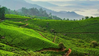 Darjeeling Tea Garden: चाय बागान श्रमिकों को जमीन के कागजात देगी बंगाल सरकार, चुनावी मुद्दों पर CM ममता की नजर