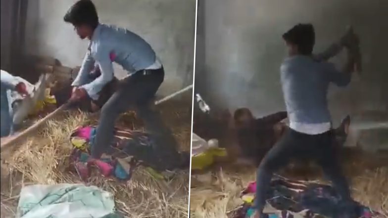 Bihar: छपरा में गुंडाराज, लाठियों से बेरहमी से पिटाई के बाद शख्स की मौत, 2 घायल | Video
