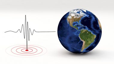 Earthquake To Strike India Very Soon? तुर्की और सीरिया में भूकंप की भविष्यवाणी करने वाले डच रिसर्चर ने भारत को लेकर भी कही डरा देने वाली बात (Watch Video)
