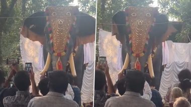 केरल के मंदिर में पूजा-पाठ के लिए रोबोटिक हाथी का इस्तेमाल, उमड़ी लोगों की भारी भीड़ (Watch Viral Video)