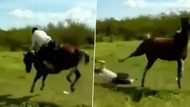 जबरदस्ती घोड़े पर सवार होकर घुड़सवारी करना चाहता था शख्स, जानवर ने एक पल में उतार दिया सारा भूत (Watch Viral Video)