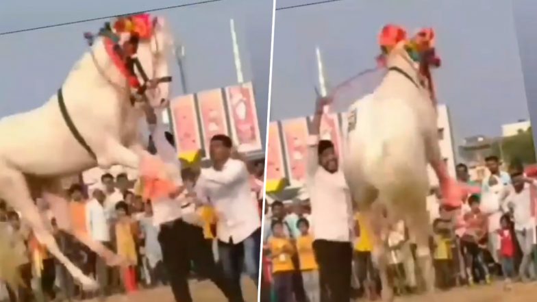 Viral Video: ढोल की आवाज सुनते ही आउट ऑफ कंट्रोल हुआ घोड़ा, किया ऐसा तूफानी डांस कि देखते रह गए लोग