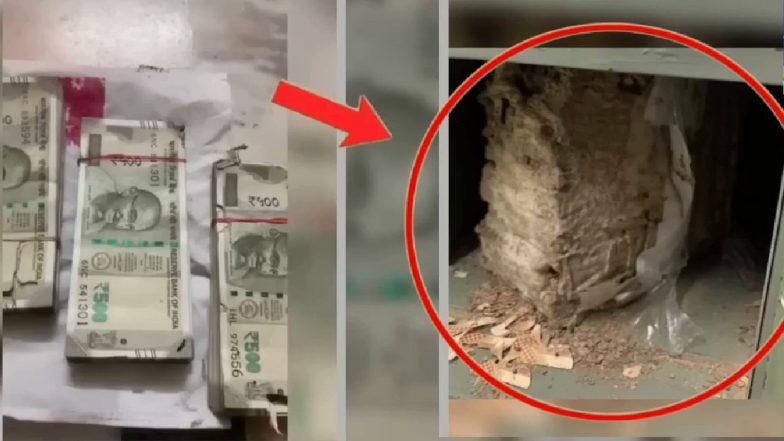 VIDEO: बैंक के लॉकर में रखे लाखों रुपये खा गए दीमक, ग्राहक-मैनेजेर के उड़े होश