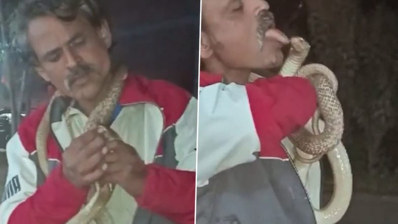 UP Shocker! सांप के साथ स्टंट करना पड़ा शख्स को भारी, नशे में धुत होकर नागराज को किया किस, हुई मौत (Watch Video)