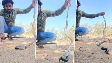 Snake Video: प्लास्टिक का पाइप निगल गया सांप, शख्स ने ऐसे निकाला बाहर, देखें वीडियो