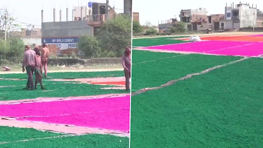 UP: कानपुर में होली के त्योहार से पहले नेचुरल गुलाल तैयार किया गया, देखें तस्वीरें