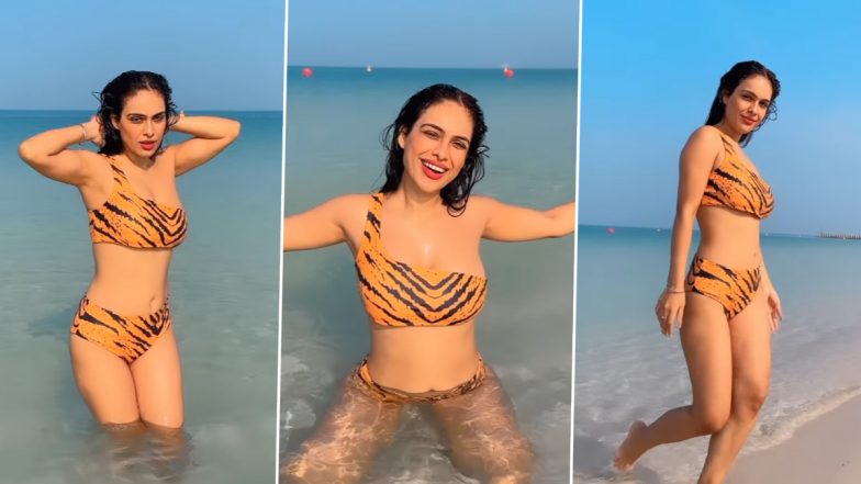 Neha Malik Hot Video: नेहा मलिक ने सेक्सी कपड़े पहनकर पानी में लगाईं आग, हॉट वीडियो हुआ वायरल
