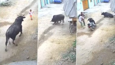 Stray Bull Attack Video: यूपी के अलीगढ़ में आवारा सांड ने बच्ची पर किया जानलेवा हमला, हालत गंभीर