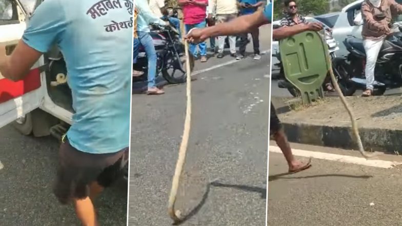 Cobra Snake Video: महाराष्ट्र के कोल्हापुर में हाईवे पर चलती कार में दिखा कोबरा सांप, कड़ी मशक्कत के बाद किया गया रेस्क्यू