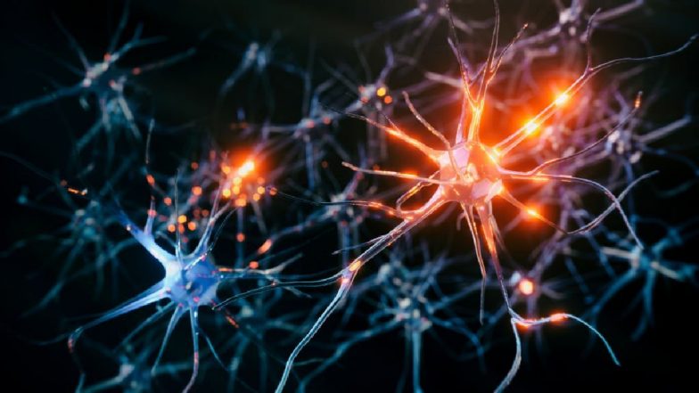 Epilepsy: मिर्गी को लेकर आई डराने वाली रिपोर्ट, इन लोगों को है मौत का दोगुना जोखिम