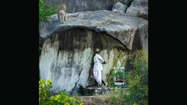 Viral Pic: चट्टान के पास बने मंदिर में पूजा कर रहा था बुजुर्ग, उस पर पड़ी तेंदुए की नजर और फिर...