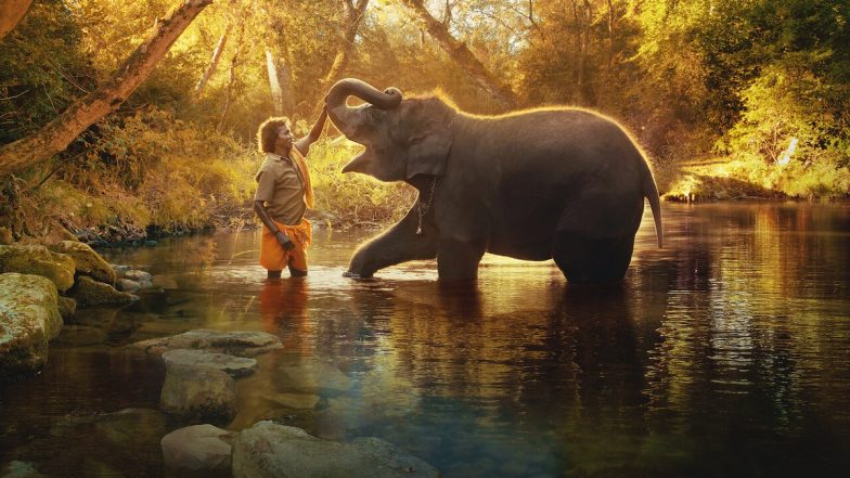 Oscars 2023: Guneet Monga की फिल्म 'द एलीफैंट विस्परर्स' को मिला बेस्ट डाक्यूमेंट्री का पुरस्कार, भारत के पहले ऑस्कर पर झूमे फैंस