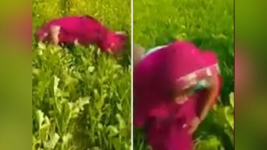 Viral Video: 2 औरतों के बीच गजब की दुश्मनी, खेत में कूद-कूदकर बर्बाद की एक-दूसरे की फसल