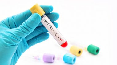 H3N8 Bird Flu: चीन में एच3एन8 बर्ड फ्लू का प्रकोप, सामने आया मानव संक्रमण का मामला