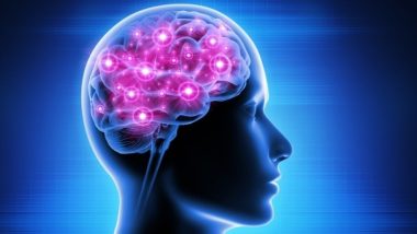 मस्तिष्क का आंतरिक चक्र बता सकता है कि क्यों गुमसुम महसूस करते हैं अल्जाइमर से पीड़ित लोग