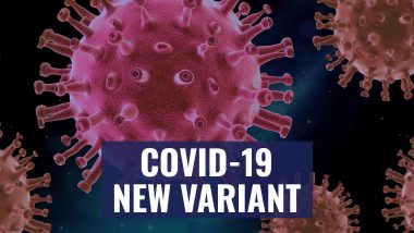 New COVID Variant: नए वेरिएंट के साथ कोरोना ने फिर बढ़ाई टेंशन, जानिए ओमिक्रॉन से निकले स्ट्रेन 'Eris' के बारे में सबकुछ