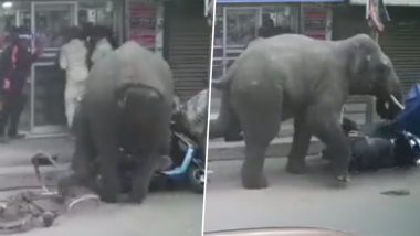 Viral Video: गुस्सैल हाथी ने बीच सड़क पर जमकर मचाया उत्पात, जान बचाने के लिए यहां-वहां भागते दिखे लोग