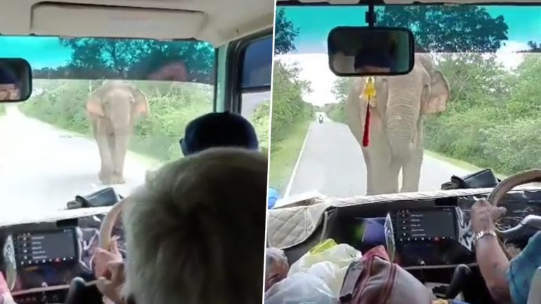 Viral Video: विशालकाय हाथी को सामने देख पर्यटकों की सिट्टी-पिट्टी हुई गुल, डर के मारे करने लगे मंत्रों का जप