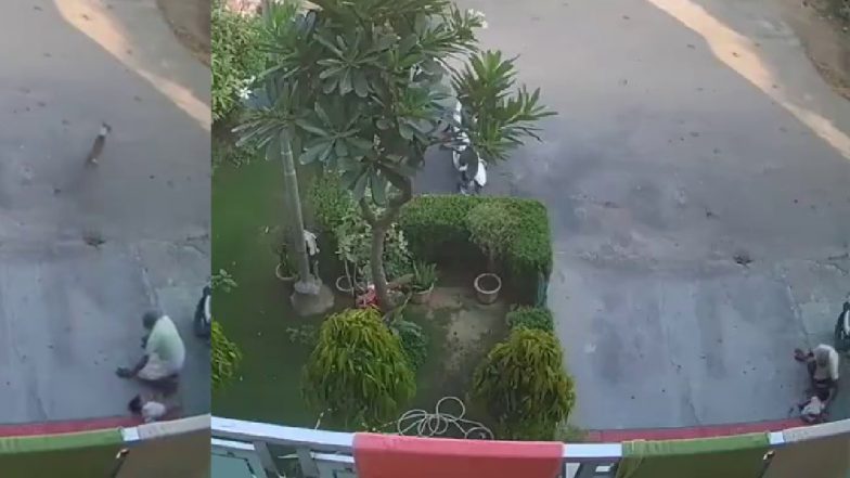Dog Attack VIDEO: बच्ची को खींच कर ले जा रहा था आवारा कुत्ता, दादा ने दौड़कर बचाया, CCTV फुटेज आया सामने