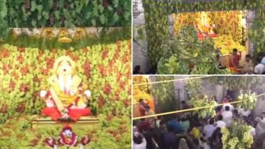 Sankashti Chaturthi 2023: संकष्टी चतुर्थी पर पुणे के दगडूशेठ गणपति मंदिर में की गई 2 हजार किलो अंगूर की व्यवस्था, देखें वीडियो