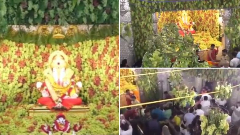 Sankashti Chaturthi 2023: संकष्टी चतुर्थी पर पुणे के दगडूशेठ गणपति मंदिर में की गई 2 हजार किलो अंगूर की व्यवस्था, देखें वीडियो