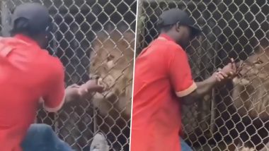 Viral Video: पिंजरे में कैद शेर से मस्ती करना शख्स को पड़ा भारी, जंगल के राजा दबोच ली उसकी उंगली