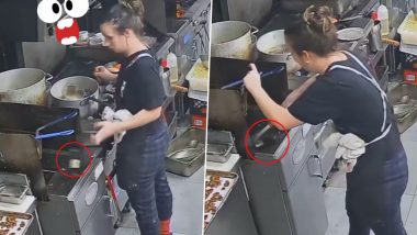 Viral Video: खाना बनाते समय गलती से फ्रायर में गिरा महिला का मोबाइल, फिर जो हुआ... देखें वीडियो
