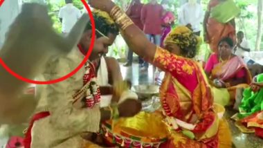 Viral Video: शादी की रस्मों के दौरान अचानक आ धमका बंदर, दूल्हा-दुल्हन के साथ बारी-बारी से की ऐसी हरकत