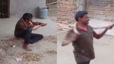 VIDEO: कोबरा संग खेल रहा था युवक, डसने से हुई मौत, नशे में धुत होकर सांप को कर रहा था Kiss