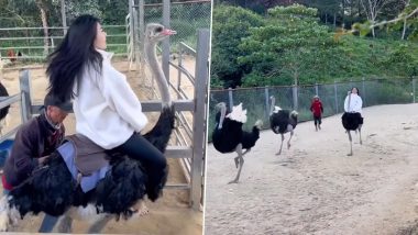 Viral Video: सवारी करने के लिए शुतुरमुर्ग की पीठ पर सवार हुई लड़की, पक्षी ने लगाई ऐसी दौड़ कि...