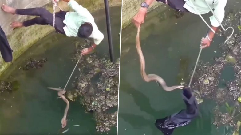 Viral Video: सांप को बचाने के लिए खुद को जोखिम में डालकर कुएं में उतरा शख्स, फिर जो हुआ... देखें वीडियो