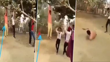 Viral Video: पेड़ पर झूला झूलते समय धड़ाम से जमीन पर गिरा शख्स, मदद करने के बजाय हंसते नजर आए दोस्त