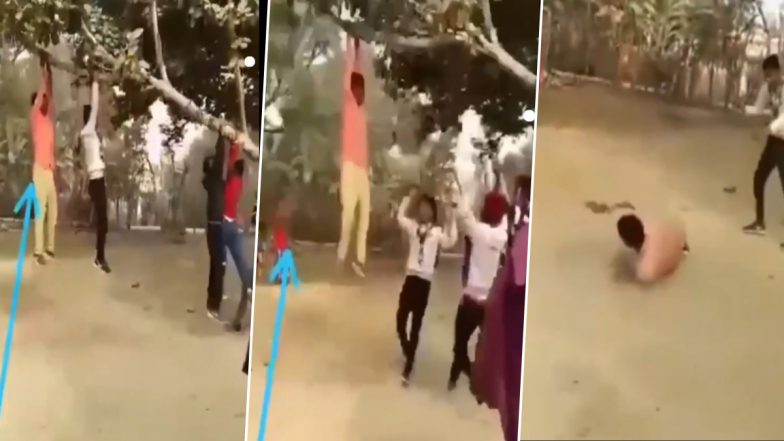 Viral Video: पेड़ पर झूला झूलते समय धड़ाम से जमीन पर गिरा शख्स, मदद करने के बजाय हंसते नजर आए दोस्त
