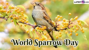 World Sparrow Day 2023: आज है विश्व गौरैया दिवस, विलुप्त हो रही इस चिड़िया के संरक्षण के लिए मनाया जाता है यह दिन