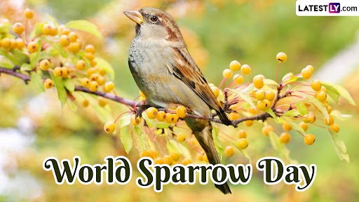 World Sparrow Day 2023: आज है विश्व गौरैया दिवस, विलुप्त हो रही इस चिड़िया के संरक्षण के लिए मनाया जाता है यह दिन