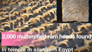 Mummy of 2000 Sheep Heads Found: मिस्र के मंदिर में मिली 2000 भेड़ों के सिरों की ममी, जानें इसका राज