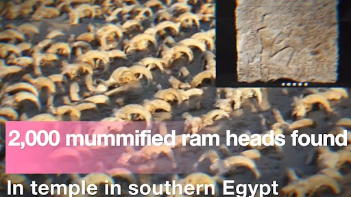 Mummy of 2000 Sheep Heads Found: मिस्र के मंदिर में मिली 2000 भेड़ों के सिरों की ममी, जानें इसका राज