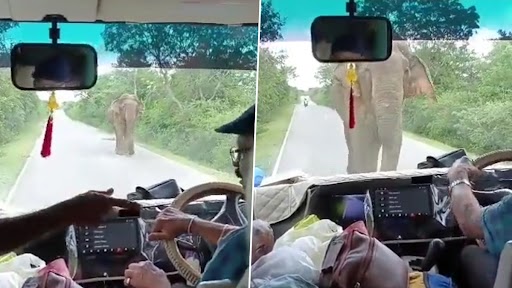 Scary Vide: सफ़र के दौरान गाड़ी के सामने आचानक आ गया विशाल हाथी, डर के मारे लोग पढ़ने लगे मंत्र