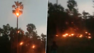 Video: पालघर में बिजली गिरने के बाद ताड़ और नारियल के पेड़ में लगी आग, शॉकिंग वीडियो वायरल